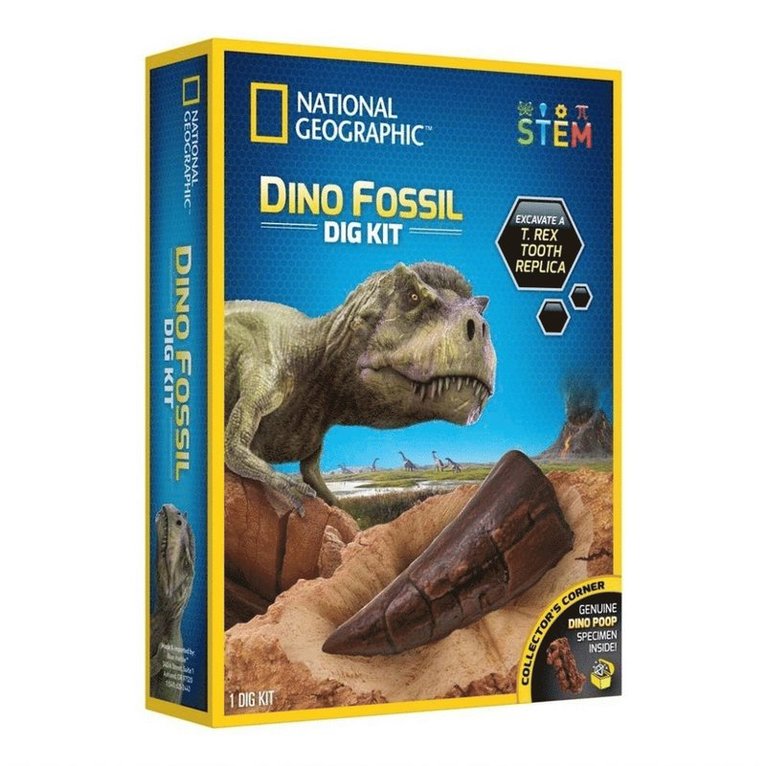 National Geographic Dino Fossil Dig Kit 1