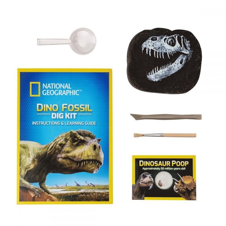 National Geographic Dino Fossil Dig Kit 2