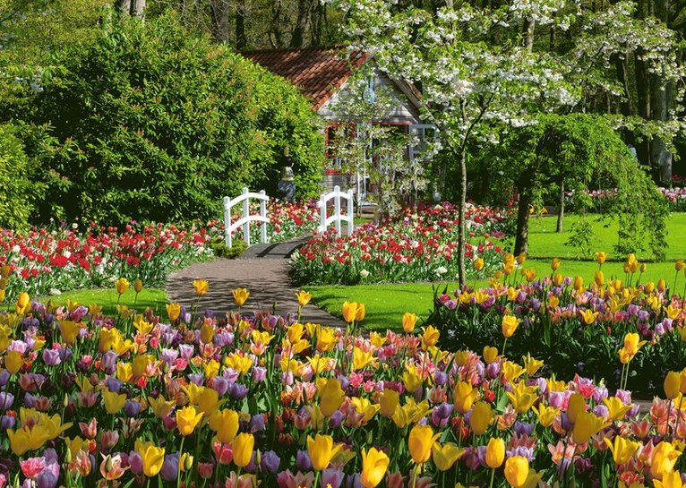 Pussel 1000 bitar - Keukenhof Gardens, Övrigt