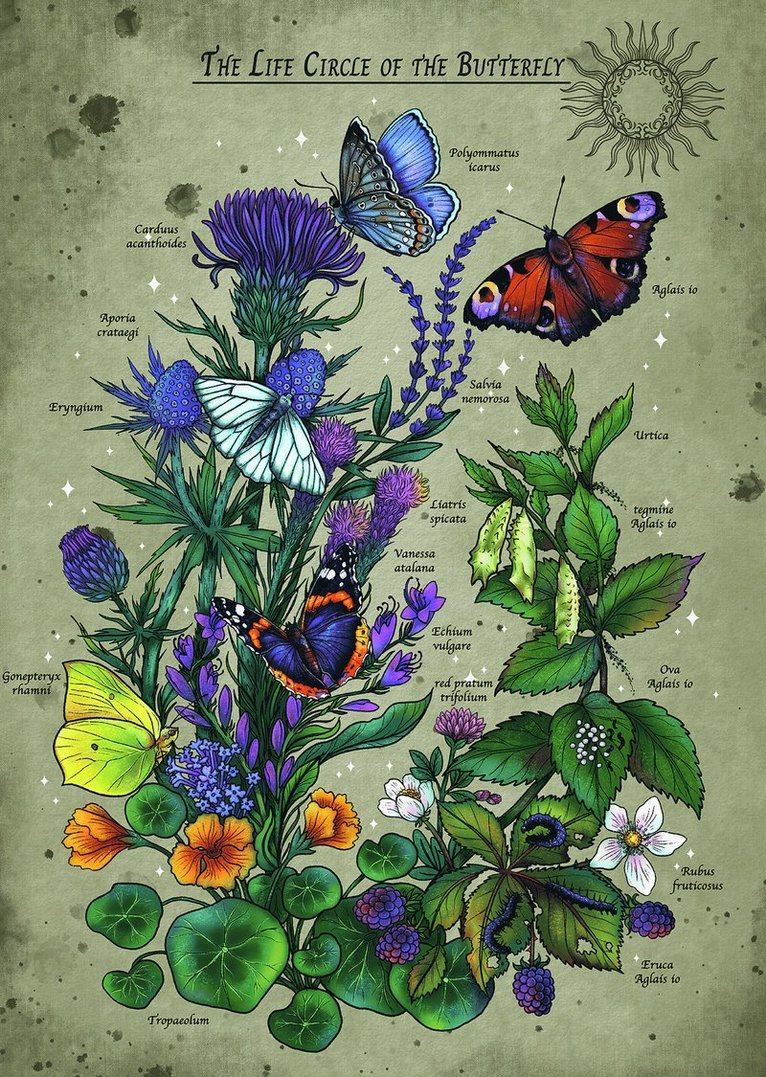 Pussel 1000 bitar Lifecircle Butterfly, Övrigt