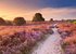 Pussel 1000 bitar Pink Pathway, Övrigt