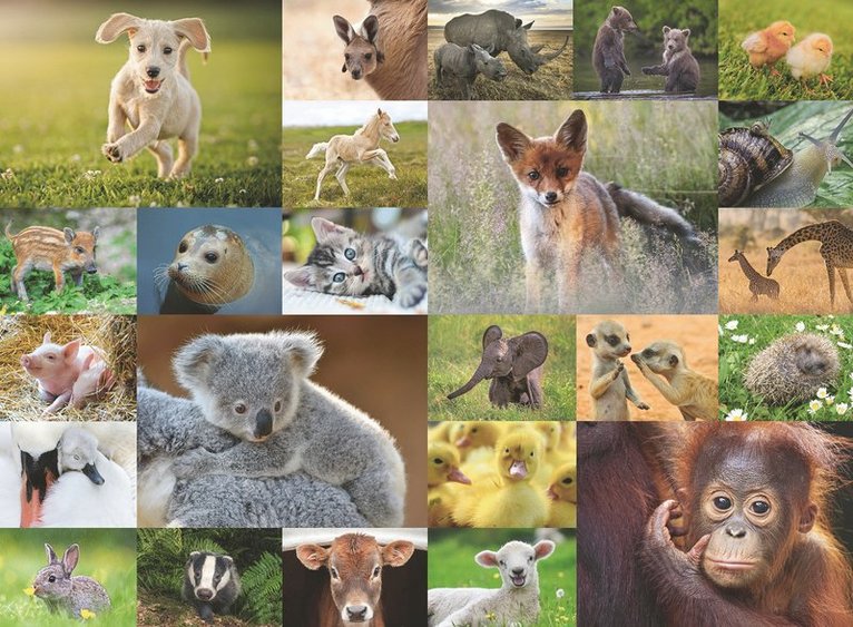 Pussel 200 bitar Animal Babies, Övrigt