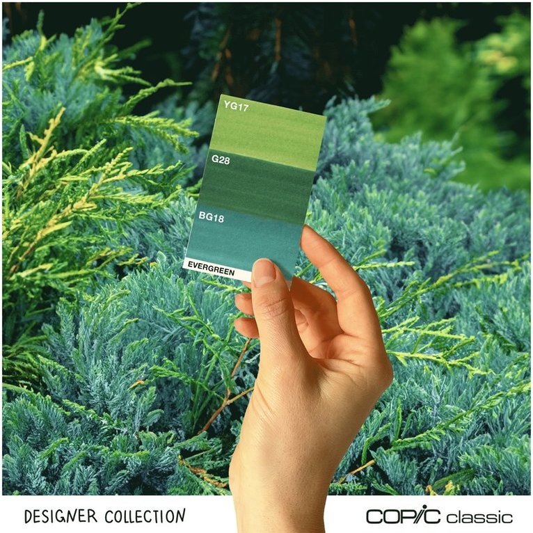 Marker Copic Classic Designer Collection 3-pack - Evergreen tints, Övrigt
