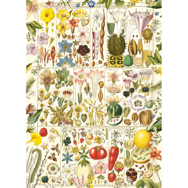Pussel 1000 bitar - Botanical Bliss, Övrigt