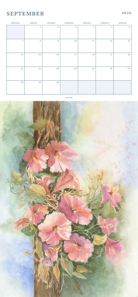 Väggkalender 2026 Siw Malmkvist, Övrigt