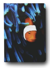 Anteckningsbok A5 linjerad Mattias A. Klum clownfisk