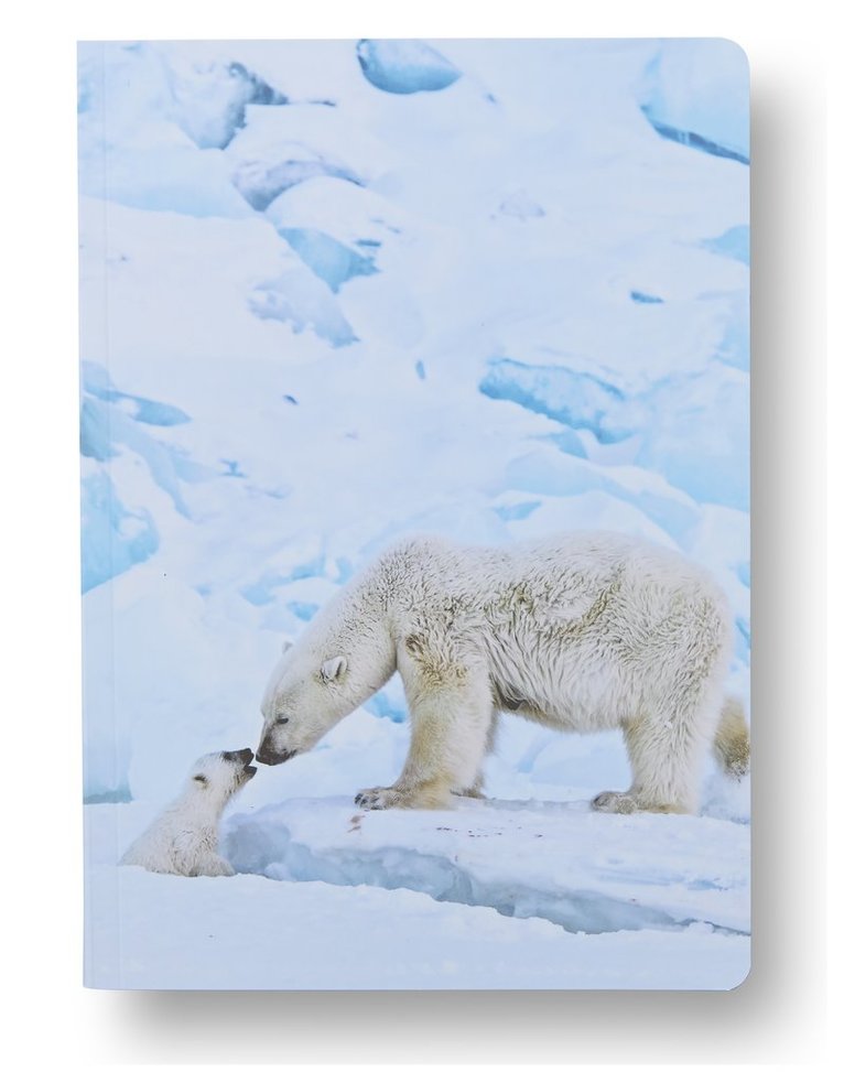 Anteckningsbok A5 linjerad mjuk pärm Mattias A. Klum isbjörn, Övrigt