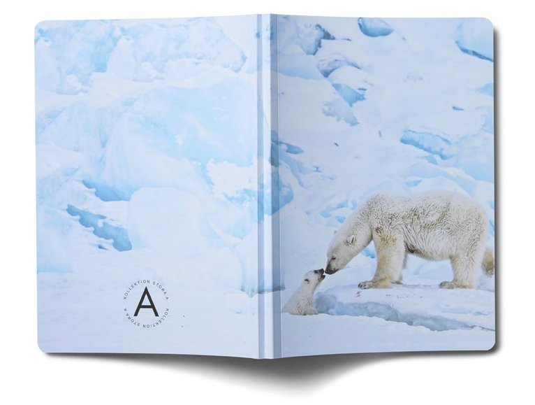 Anteckningsbok A5 linjerad mjuk pärm Mattias A. Klum isbjörn, Övrigt