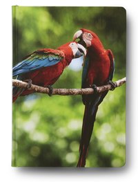 Anteckningsbok A5 linjerad Mattias A. Klum papegojor