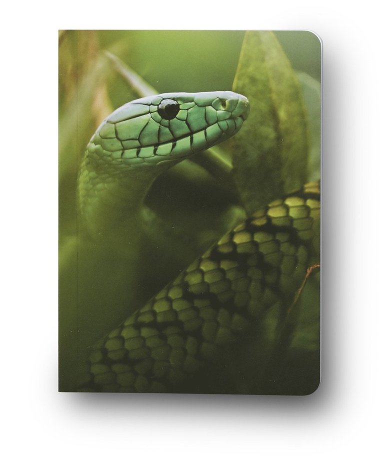 Anteckningsbok A6 linjerad mjuk pärm Mattias A. Klum mamba, Övrigt