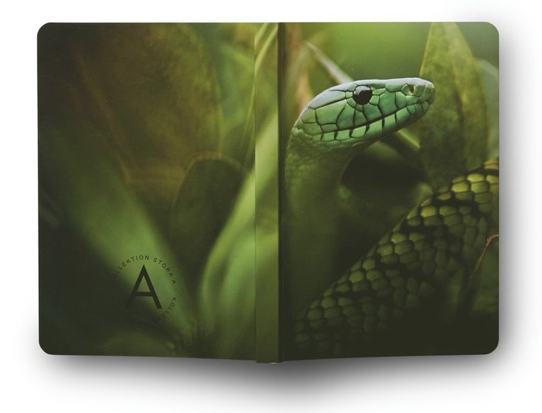 Anteckningsbok A6 linjerad mjuk pärm Mattias A. Klum mamba, Övrigt