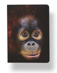 Anteckningsbok A6 linjerad mjuk pärm Mattias A. Klum orangutangunge