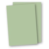 Papper A4 110g 10-pack ljusgrön