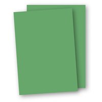 Papper A4 110g 10-pack gräsgrön