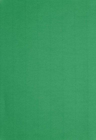 Papper A4 110g 10-pack gräsgrön