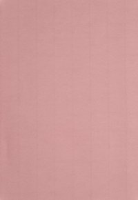 Papper A4 110g 10-pack dimrosa