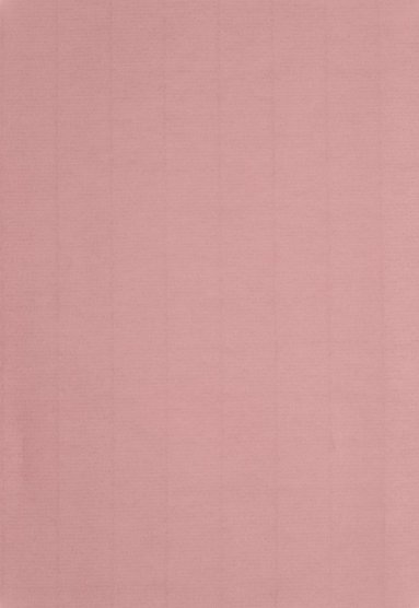 Papper A4 10-pack dimrosa