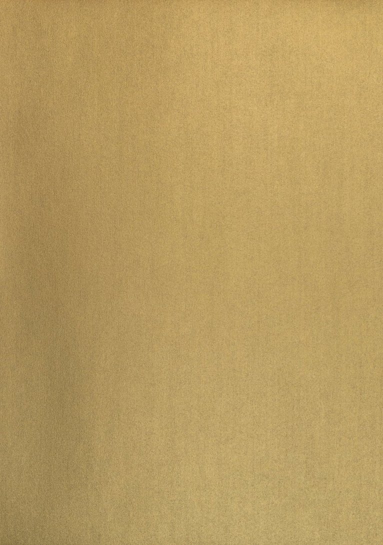 Papper A4 110g 10-pack guld, Övrigt