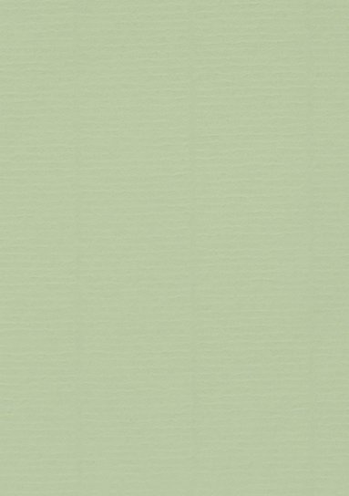 Kort A6 enkla 10-pack lime