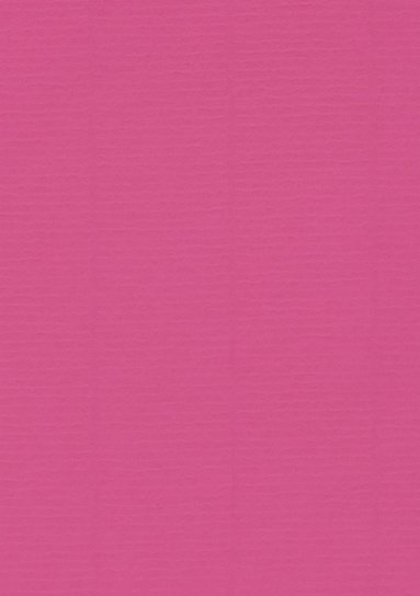 Kort A6 enkla 10-pack cerise