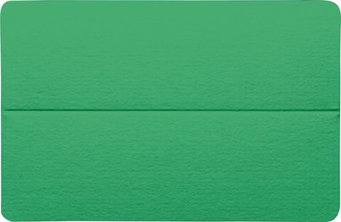Placeringskort dubbla 10-pack gräsgrön