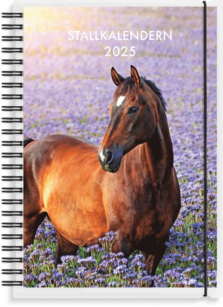 Kalender 2025 Stallkalendern 1