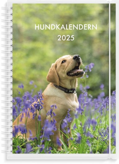 Kalender 2025 Hundkalendern 1