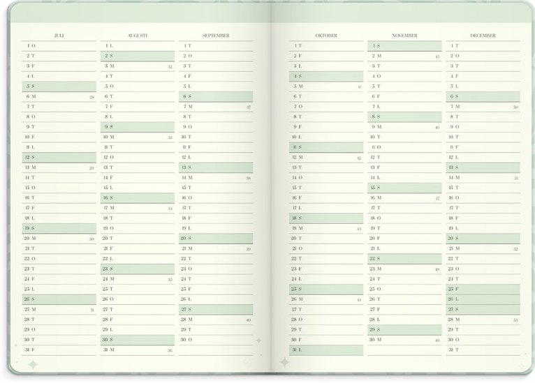 Kalender 2025 Life Planner Dream & Do, Övrigt