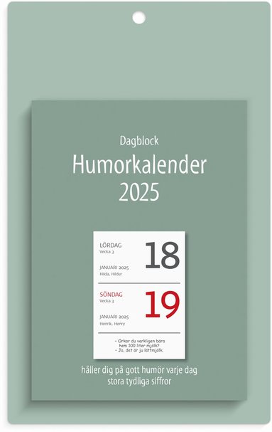 Kalender 2025 Väggplån med dagblock Humor 1