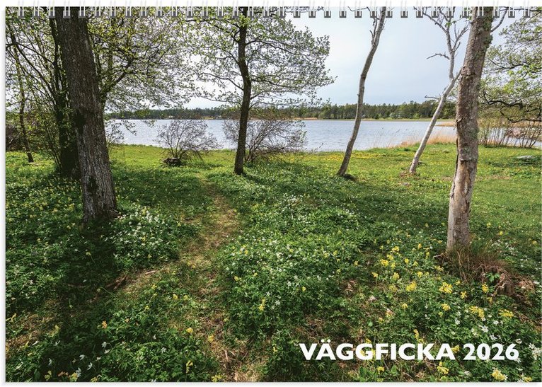 Väggkalender 2026 Väggficka, Övrigt
