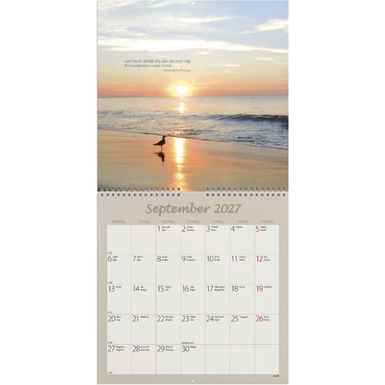 Väggkalender 2027 Carpe Diem, Övrigt