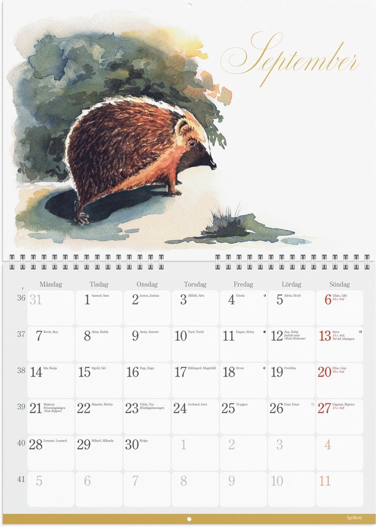 Väggkalender 2026 Naturalmanacka, Övrigt