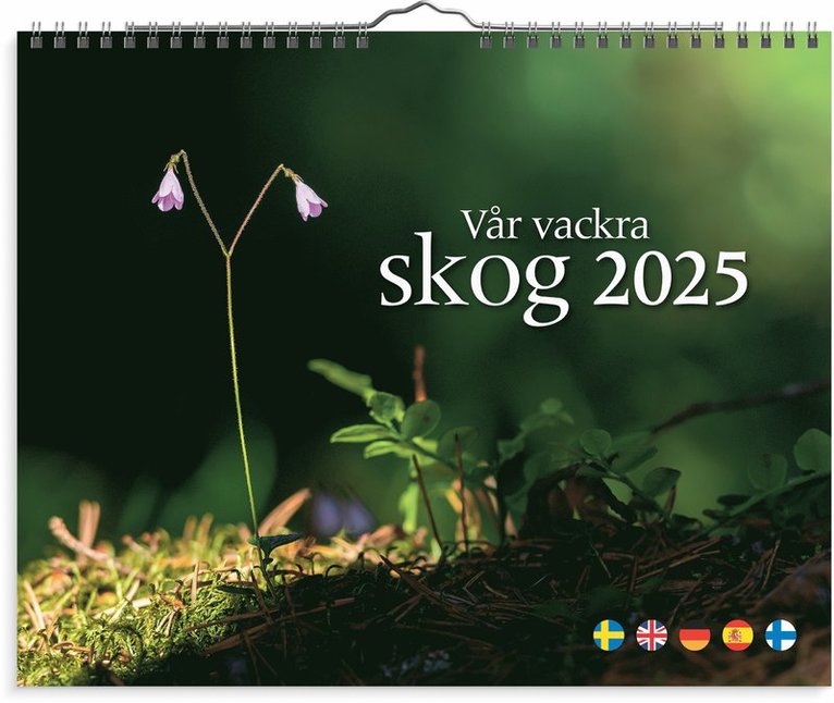 Väggkalender 2025 Vår vackra skog, Övrigt