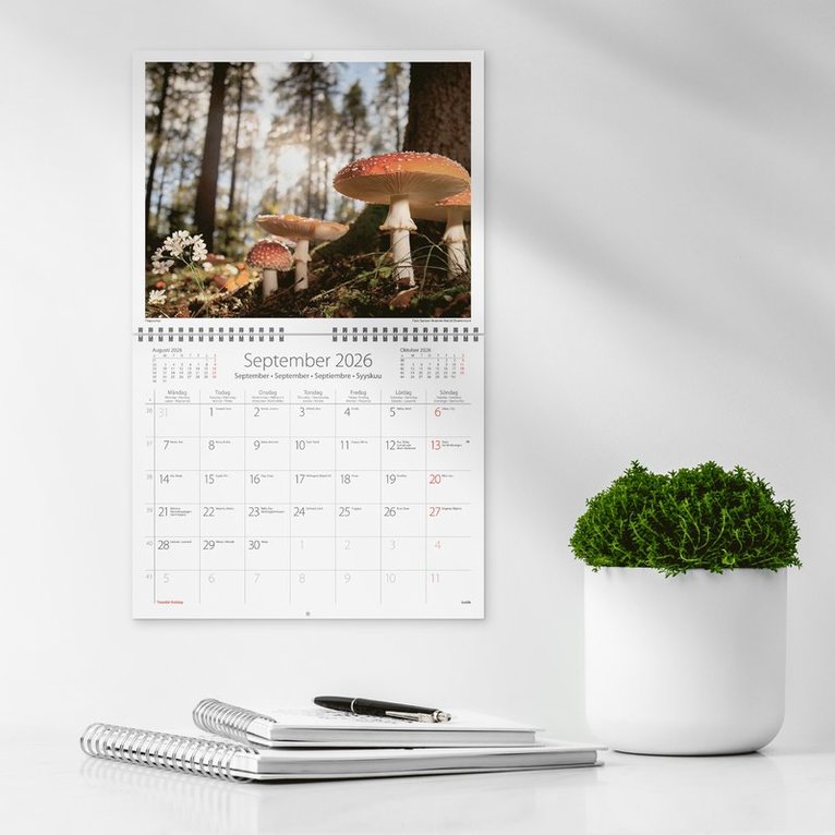 Väggkalender 2026 Vår vackra skog, Övrigt