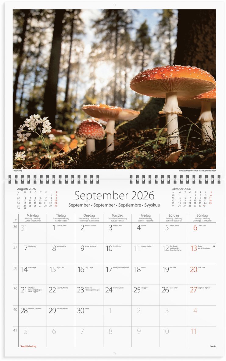 Väggkalender 2026 Vår vackra skog, Övrigt