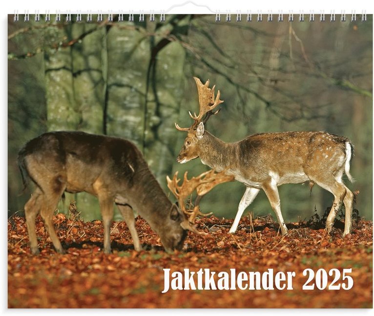 Väggkalender 2025 Jaktkalender, Övrigt
