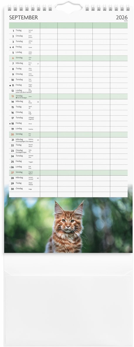 Familjekalender 2026 Katter, Övrigt
