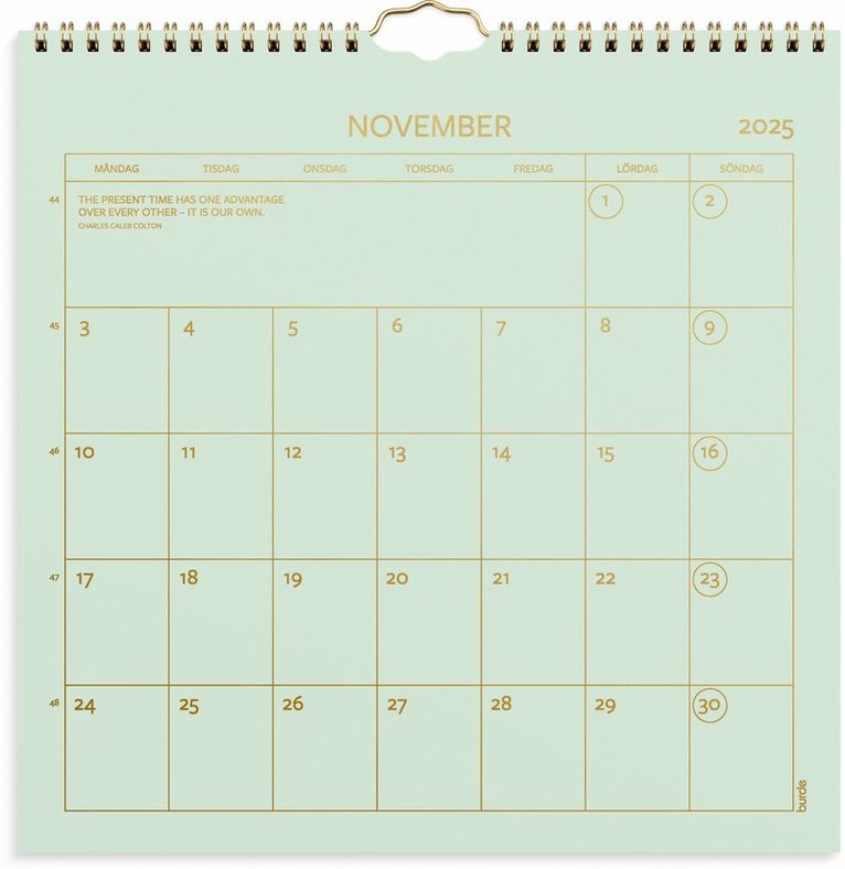 Väggkalender 2025 Color, Övrigt