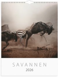 Väggkalender 2026 Savannen