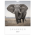 Väggkalender 2027 Savannen, Övrigt