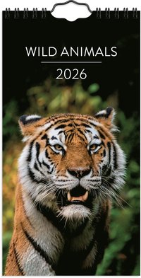 Väggkalender 2026 Wild animals