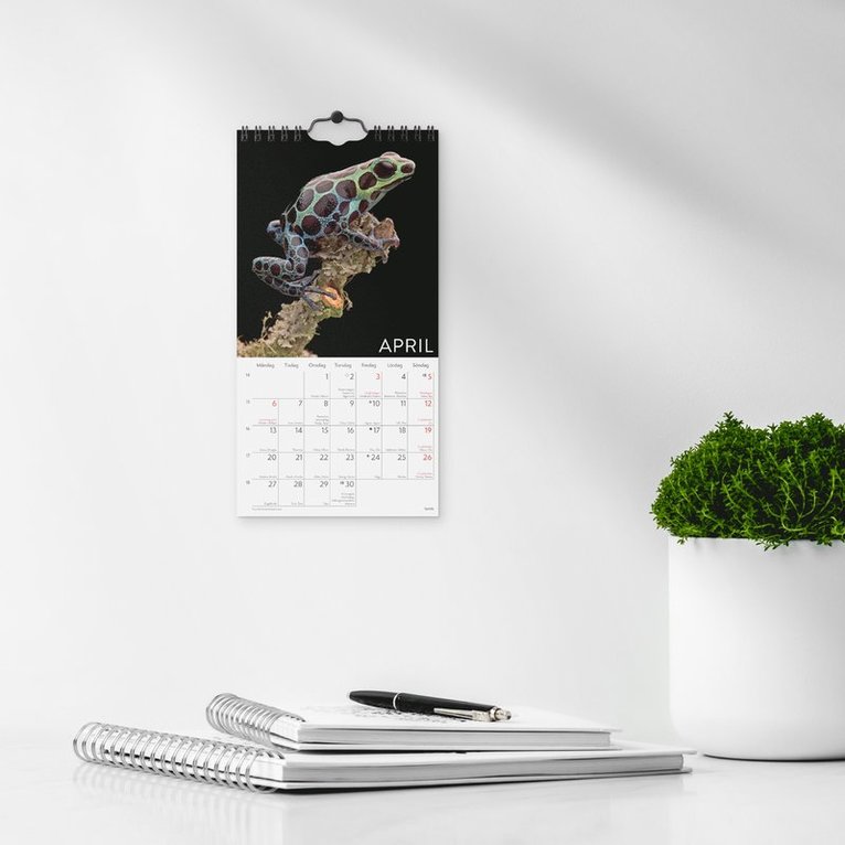 Väggkalender 2026 Wild animals, Övrigt