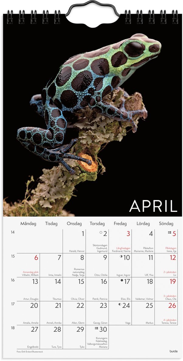 Väggkalender 2026 Wild animals, Övrigt