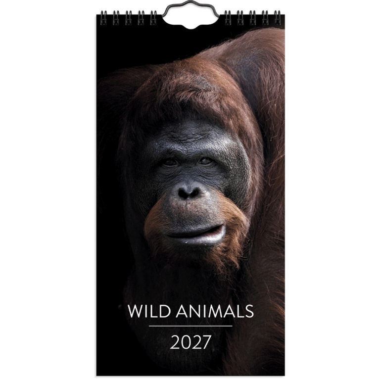 Väggkalender 2027 Wild animals, Övrigt