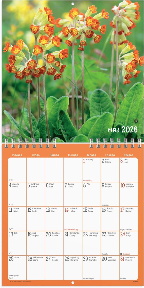 Väggkalender 2026 Blommor, Övrigt