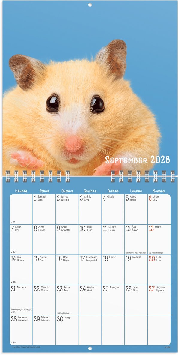 Väggkalender 2026 Sötnosar, Övrigt