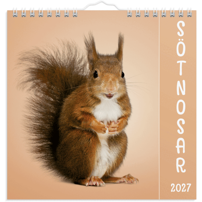 Väggkalender 2027 Sötnosar, Övrigt
