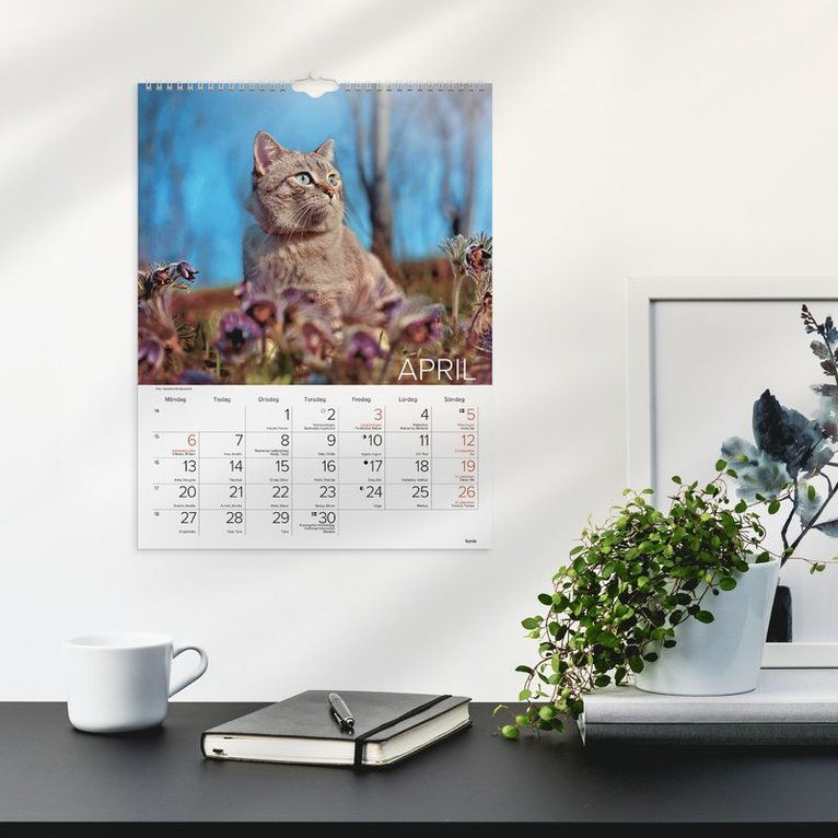 Väggkalender 2026 Stora Kattkalendern, Övrigt