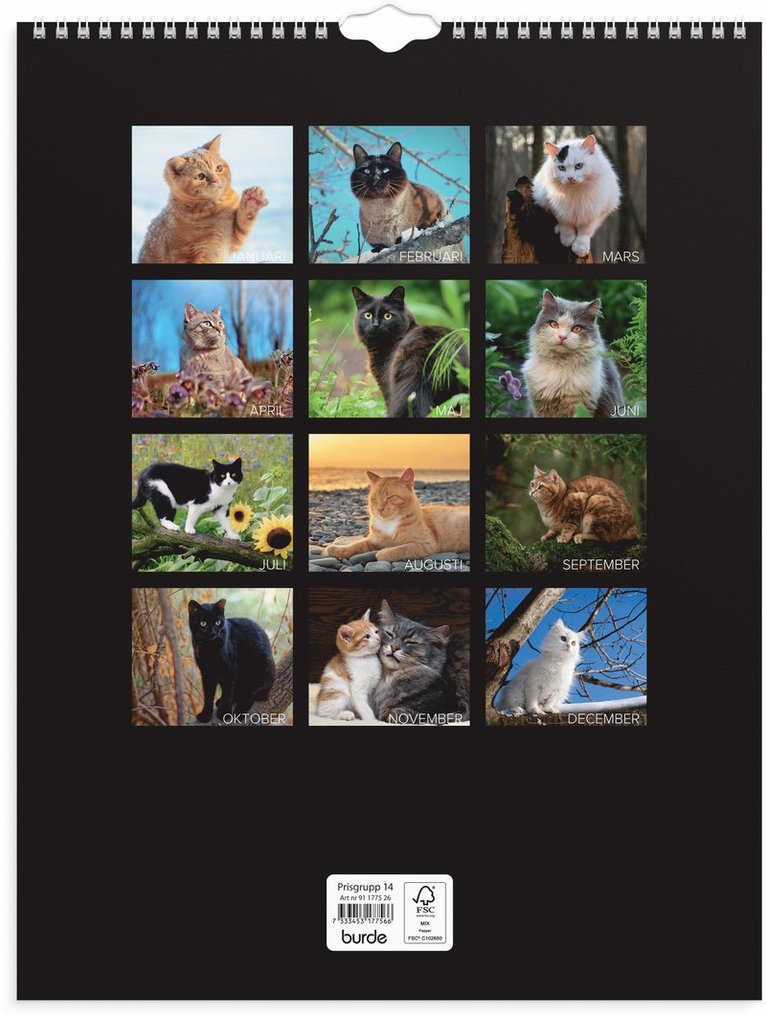 Väggkalender 2026 Stora Kattkalendern, Övrigt