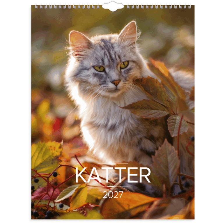 Väggkalender 2027 Stora Kattkalendern, Övrigt